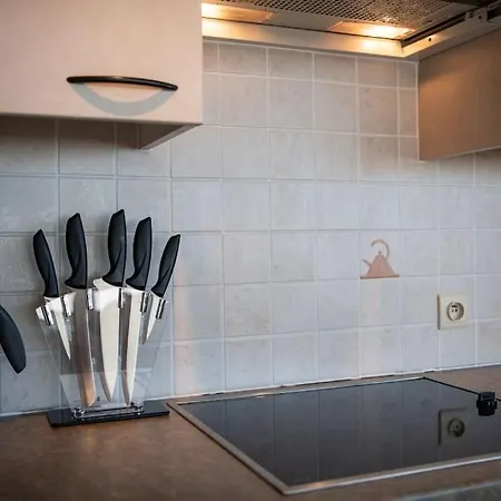 Apartament Uniek Panoramisch Zeezicht & Strandcabine